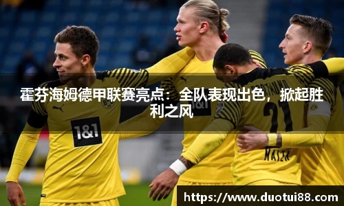 霍芬海姆德甲联赛亮点：全队表现出色，掀起胜利之风