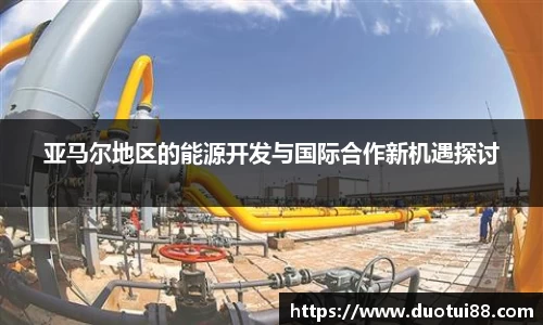 亚马尔地区的能源开发与国际合作新机遇探讨